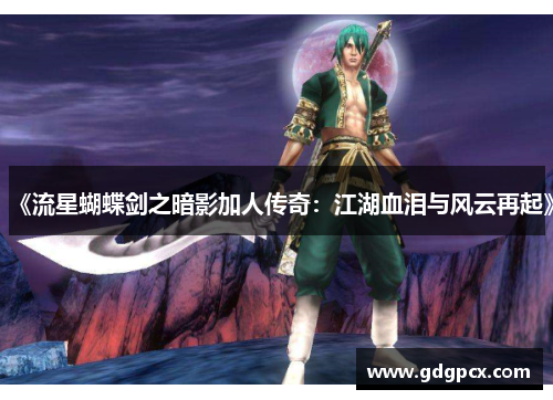 《流星蝴蝶剑之暗影加人传奇：江湖血泪与风云再起》