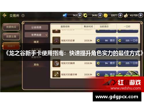 《龙之谷新手卡使用指南：快速提升角色实力的最佳方式》